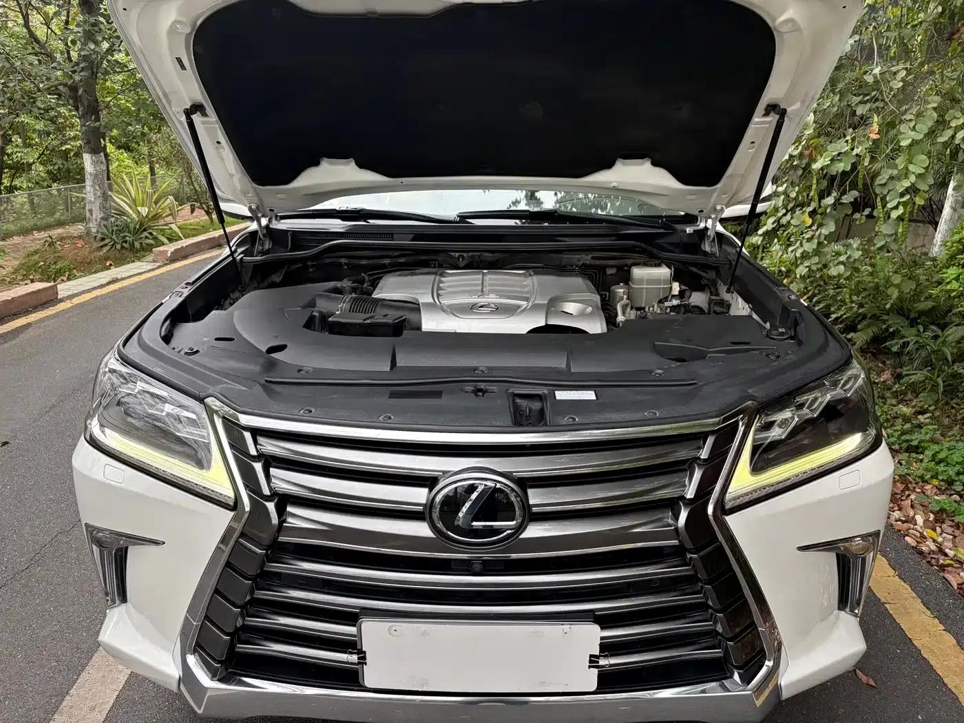 2016 Lexus LX 570 Premium Luxury Edition — миниатюра 26