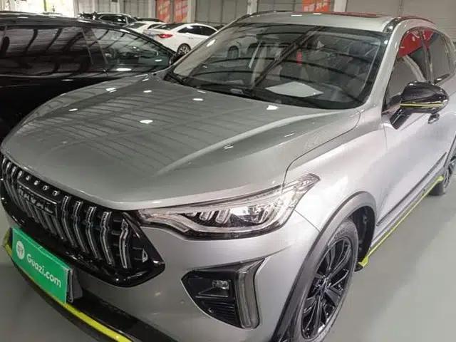 Haval LHERY 2021 High-Performance Version 1.5T Golden Rabbit