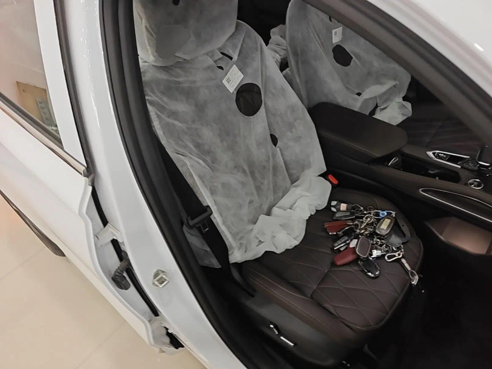 Geely Auto Monjaro L 2025 2.0TD Automatic Xingyun Version — миниатюра 19