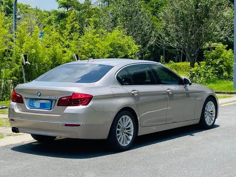 2014 BMW 5 Series 525Li Luxury Design Package — миниатюра 4