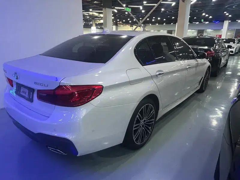 2018 BMW 5 Series 530Li Leading Edition M Sport Package — миниатюра 5