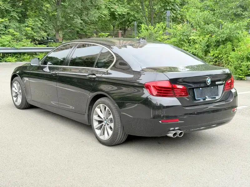 2017 BMW 5 Series 525Li Luxury Design Package — миниатюра 5