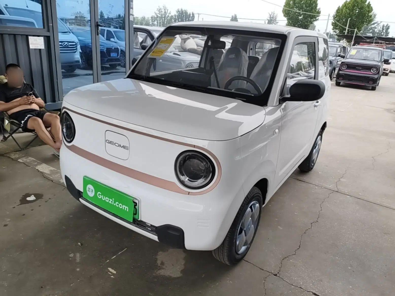Geely Galaxy Panda 2024 Panda Mini 200km Endurance Bear — миниатюра 1