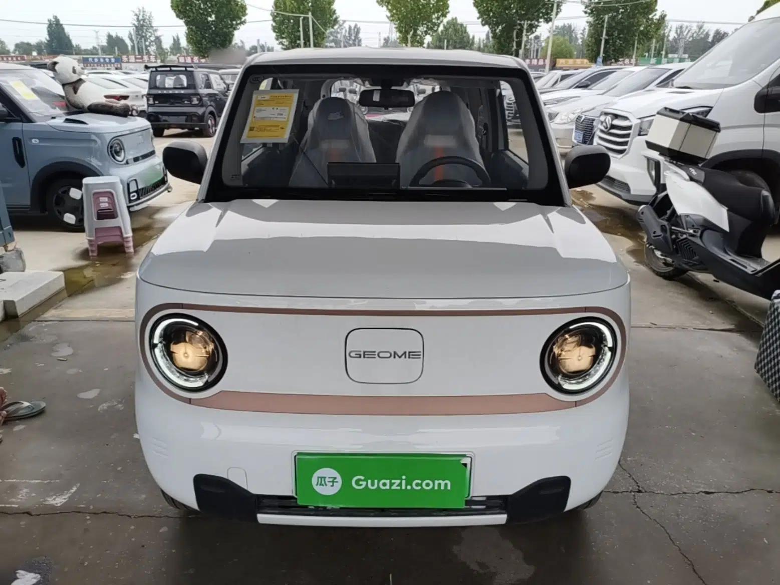 Geely Galaxy Panda 2024 Panda Mini 200km Endurance Bear — миниатюра 2