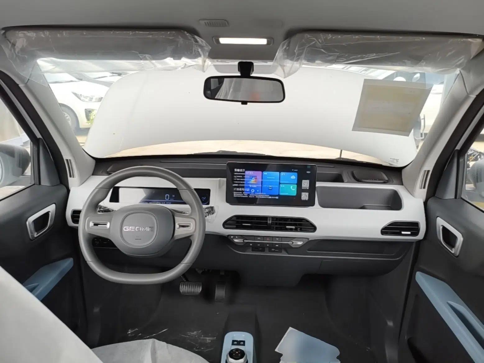 Geely Galaxy Panda 2024 Panda Mini 200km Endurance Bear — миниатюра 12