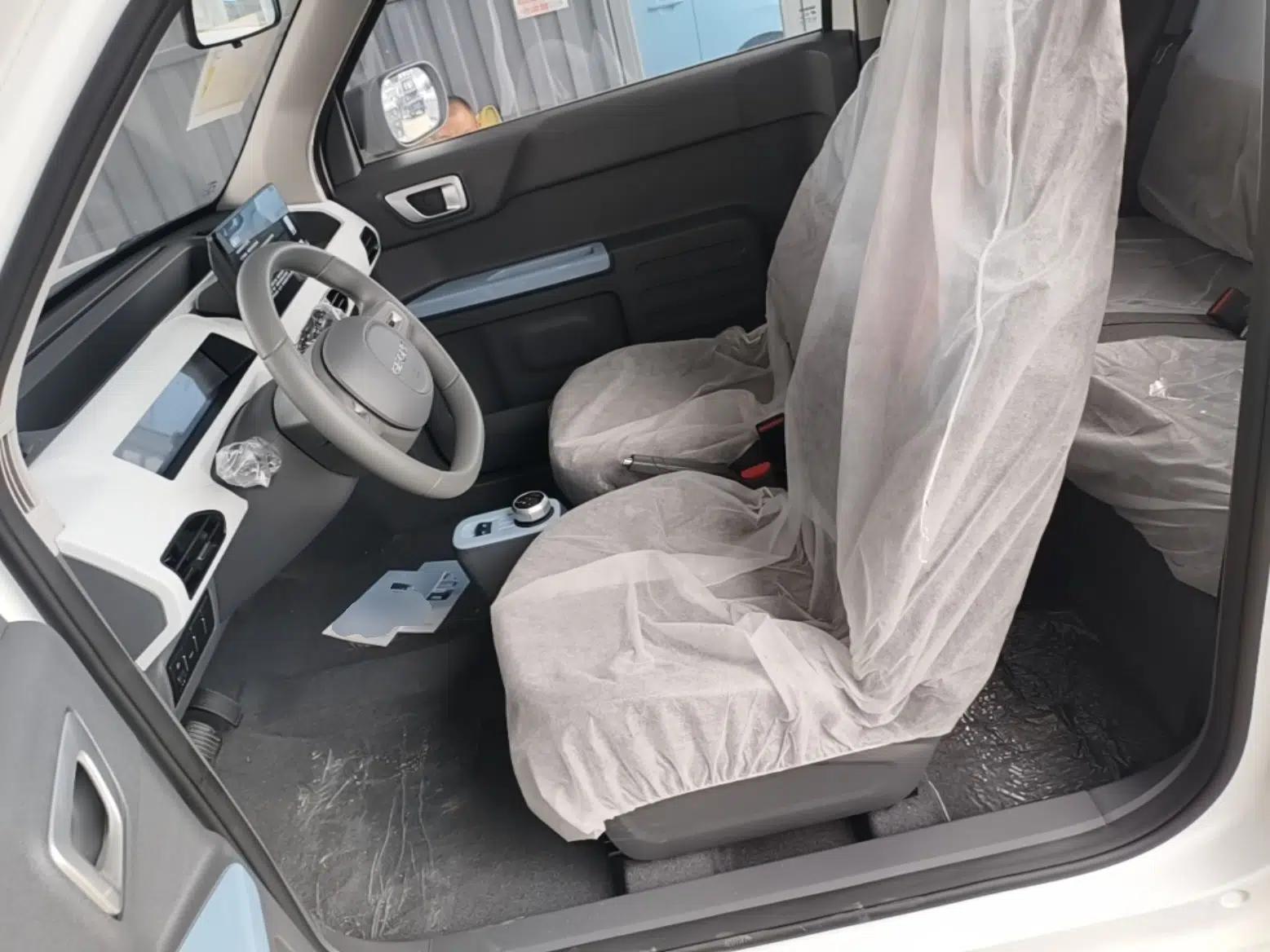 Geely Galaxy Panda 2024 Panda Mini 200km Endurance Bear — миниатюра 17