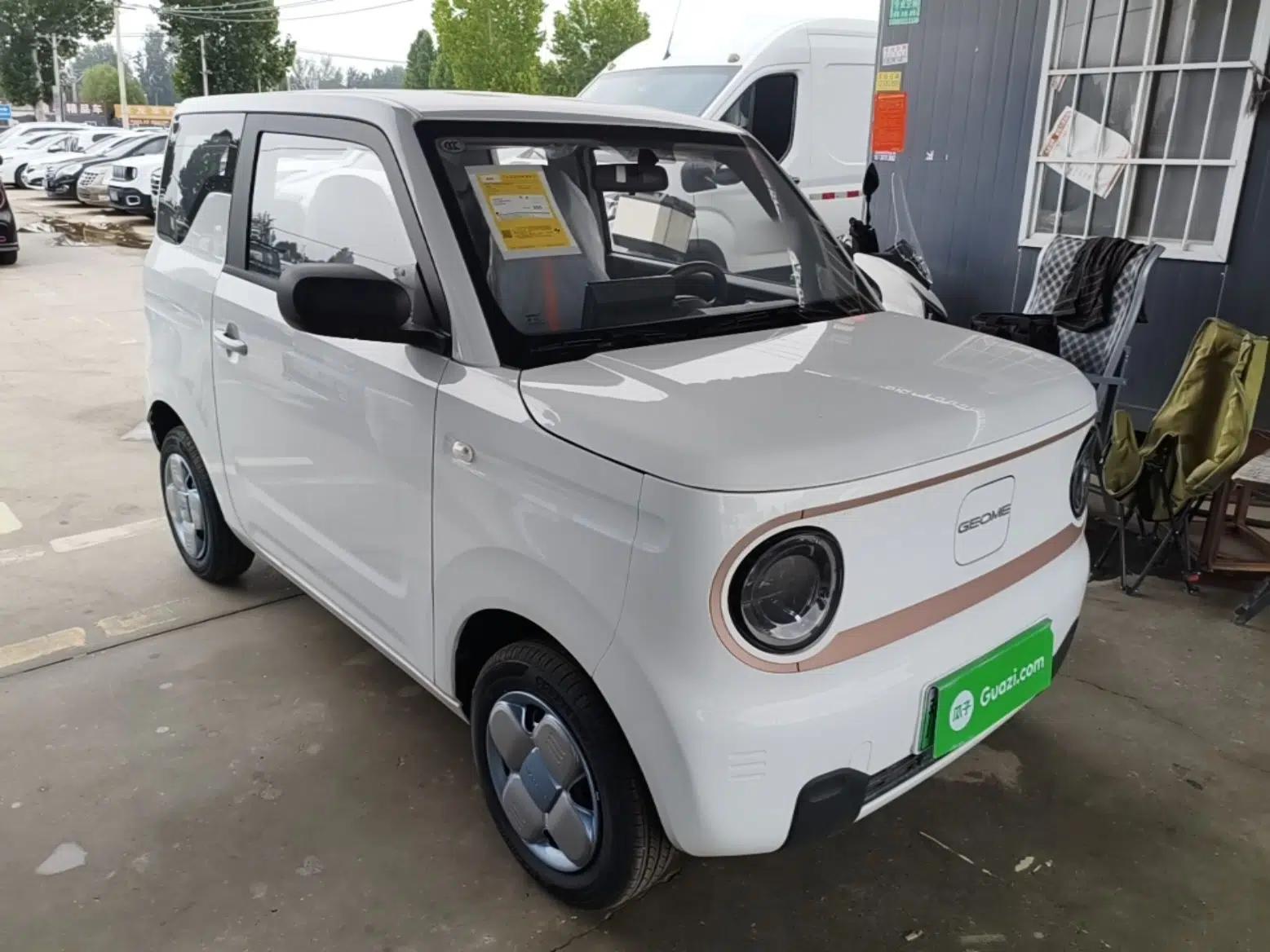 Geely Galaxy Panda 2024 Panda Mini 200km Endurance Bear — миниатюра 3