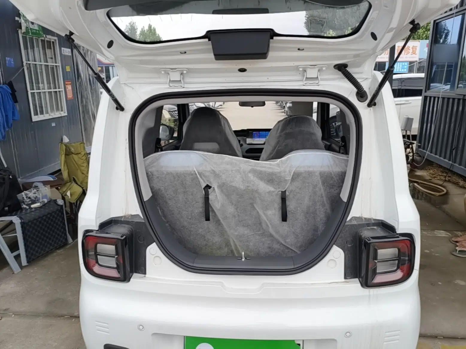 Geely Galaxy Panda 2024 Panda Mini 200km Endurance Bear — миниатюра 22