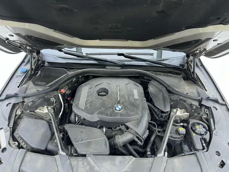 2016 BMW 7 Series 730Li Luxury — миниатюра 7