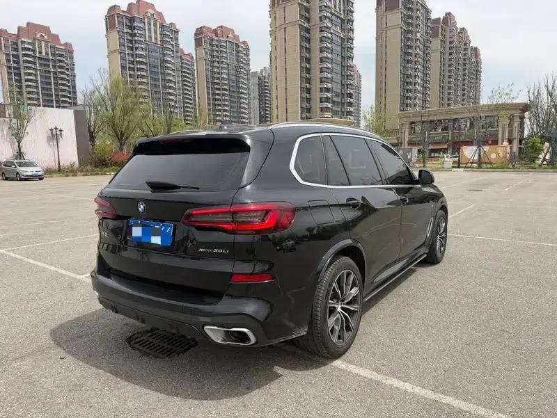 BMW X5 2022 Facelift xDrive 30Li M Sport Package — миниатюра 6