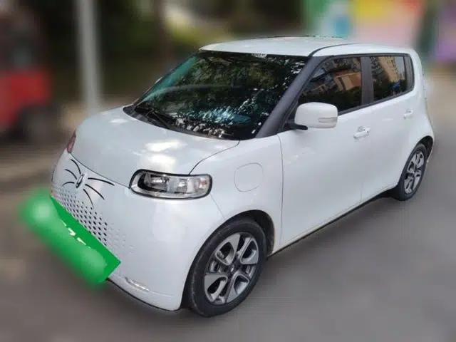 ORA White Cat 2022 Upgraded Model 305km Range Luxury Version Lithium-Ion Battery