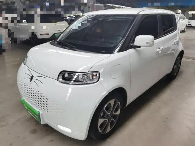 ORA White Cat 2020 305 km Luxury Version