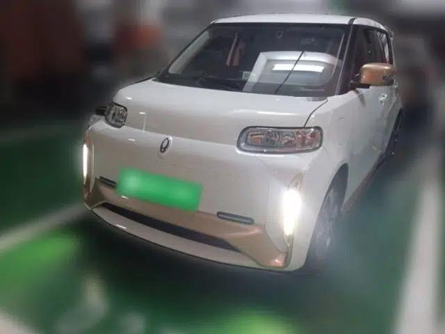 ORA White Cat 2022 Xiaoyue Mao Edition 360 km Luxury Model Lithium NMC