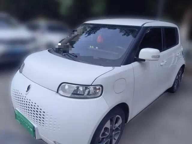 ORA White Cat 2020 305 km Luxury Version