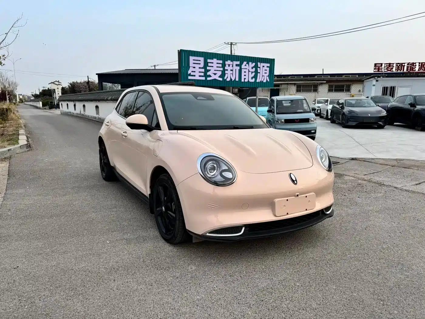 ORA Good Cat 2024 Model 401km Luxury — миниатюра 3