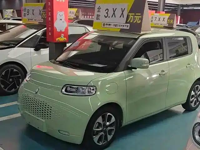 ORA White Cat 2022 Upgraded Version 305km Luxury Model (Lithium Iron Phosphate)