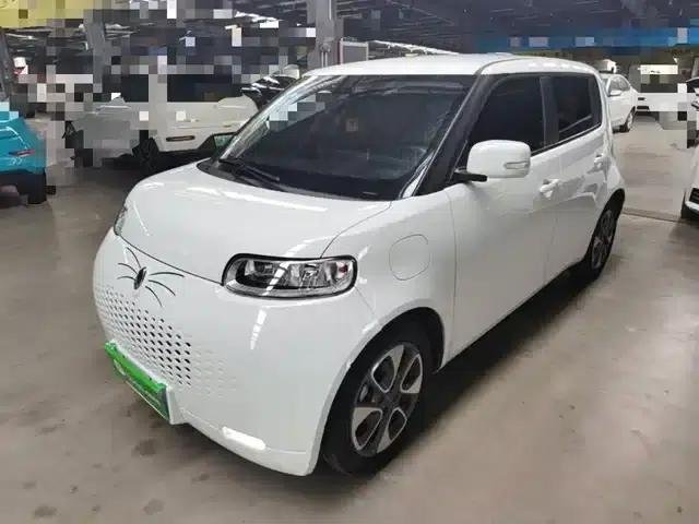 ORA White Cat 2020 Model 305km Luxury