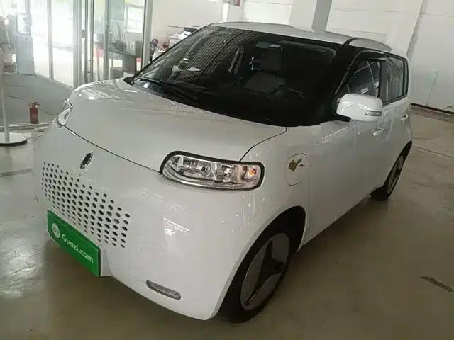 ORA White Cat 2020 360km Luxury Edition