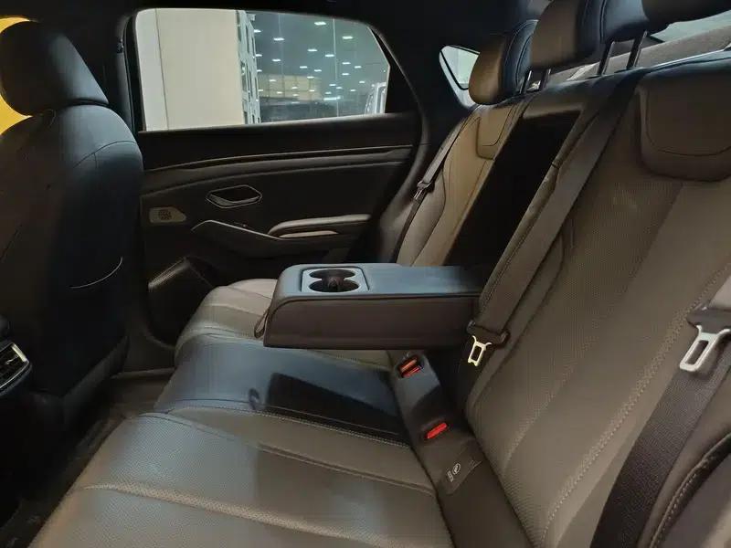 Qin L DM 2025 Smart Driving Edition DM-i 120KM Superior Model — миниатюра 29