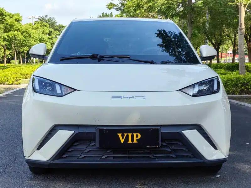 Seagull 2023 Vitality Edition — миниатюра 2