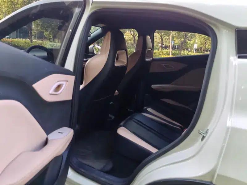 Seagull 2023 Vitality Edition — миниатюра 19