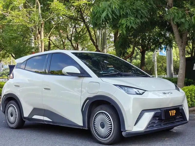 Seagull 2023 Vitality Edition — миниатюра 3