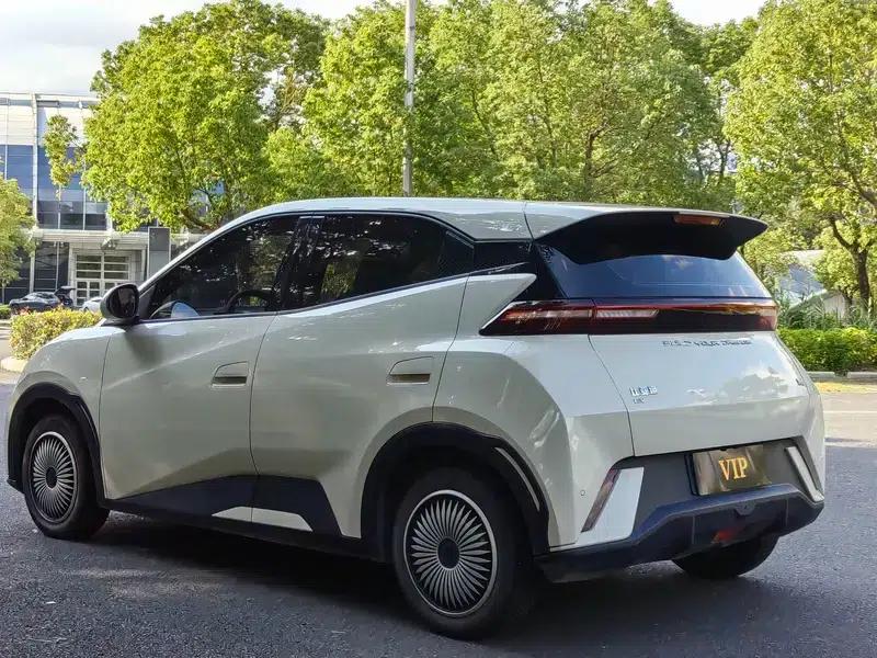 Seagull 2023 Vitality Edition — миниатюра 4