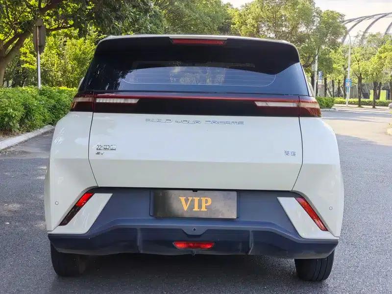 Seagull 2023 Vitality Edition — миниатюра 5