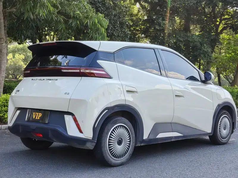 Seagull 2023 Vitality Edition — миниатюра 6