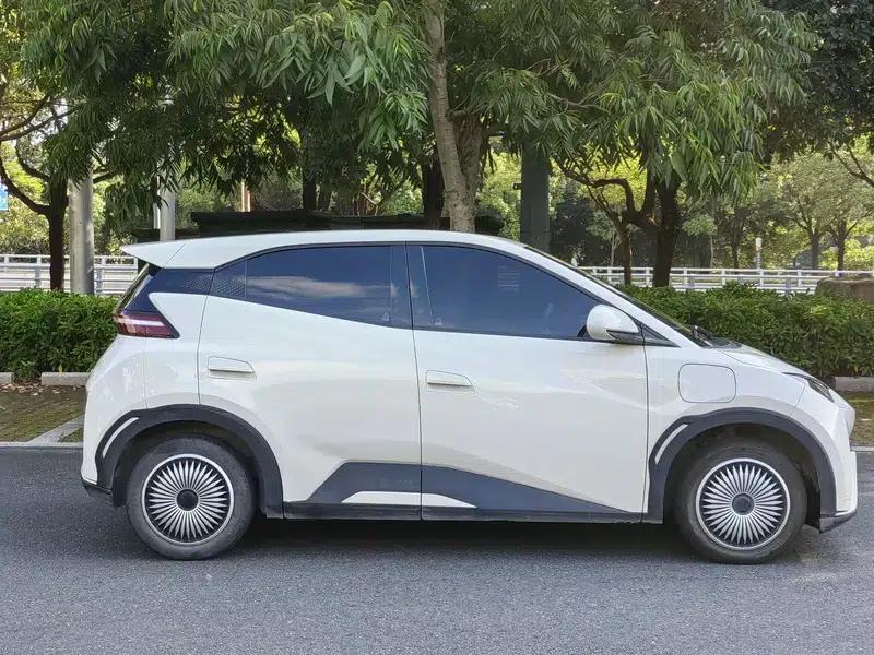Seagull 2023 Vitality Edition — миниатюра 7