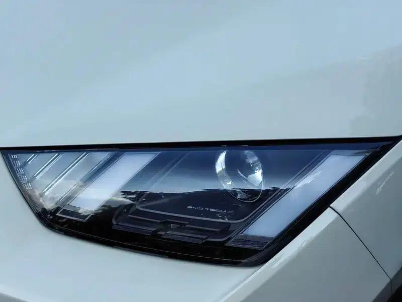 Seagull 2023 Vitality Edition — миниатюра 8
