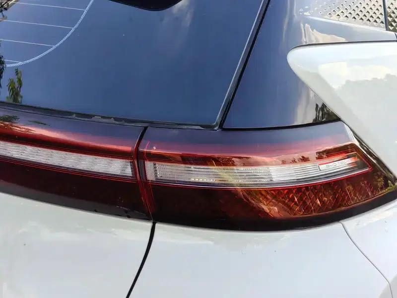 Seagull 2023 Vitality Edition — миниатюра 9