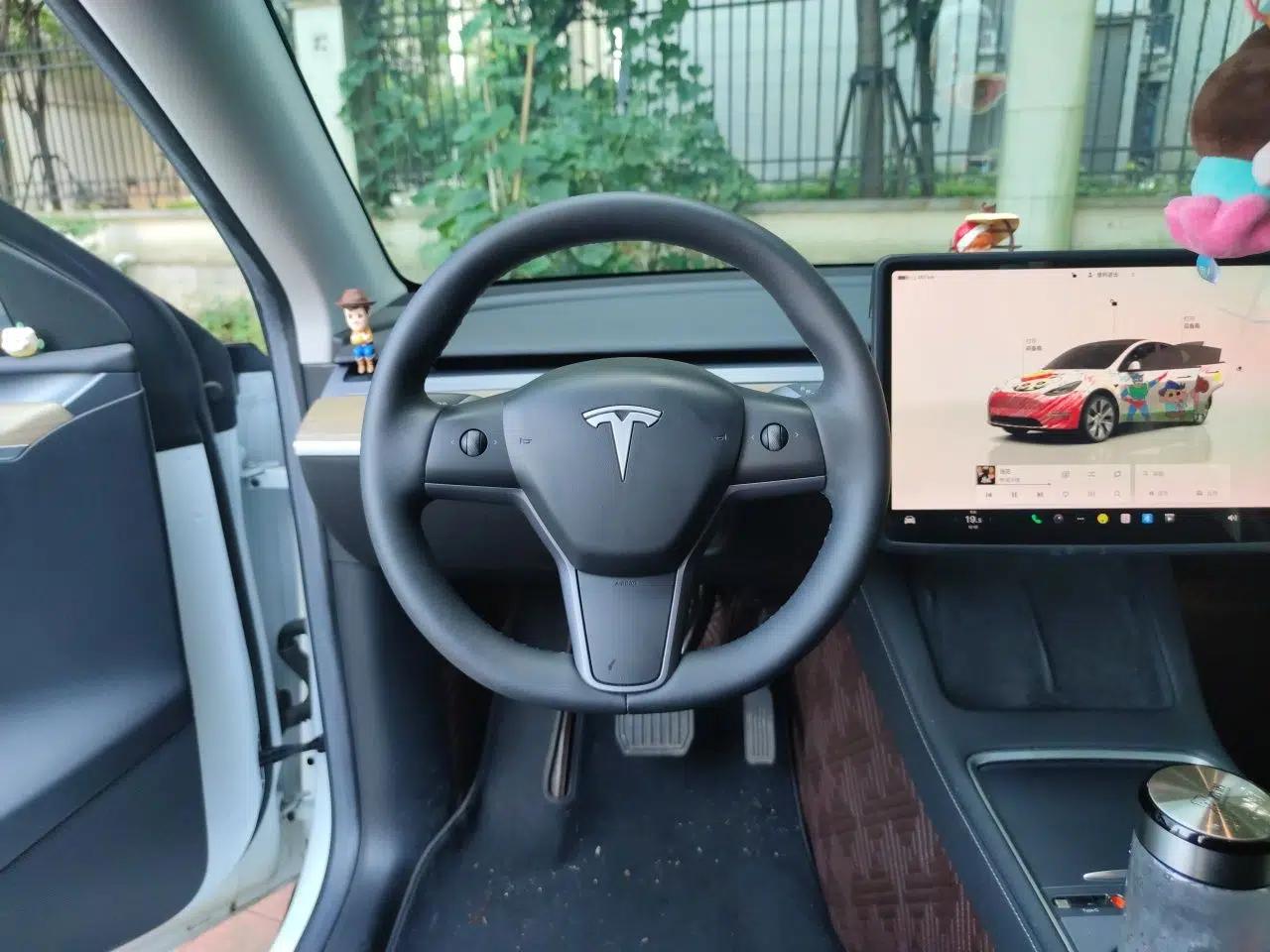 Tesla Model Y 2022 Revised Version Long-Range All-Wheel Drive — миниатюра 10