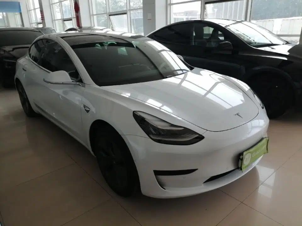 Tesla Model 3 2019 Standard Range Rear-Wheel Drive Upgraded Version (60 kWh) — миниатюра 3