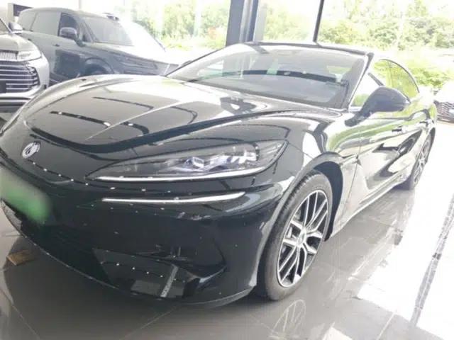 Denza Z9 2024 1100 km Four-Wheel Drive Max Version