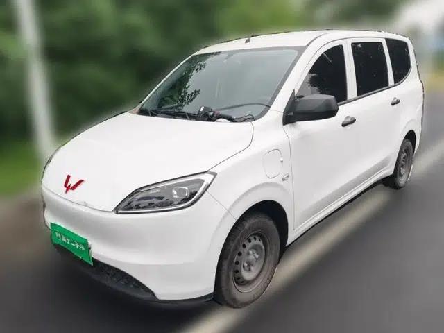 Wuling Hongguang New Energy 2024 All-Electric Model 300KM Standard Version