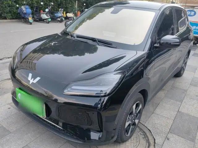 Wuling Bingo PLUS 2024 510 km Flagship Edition Four-Seater Version