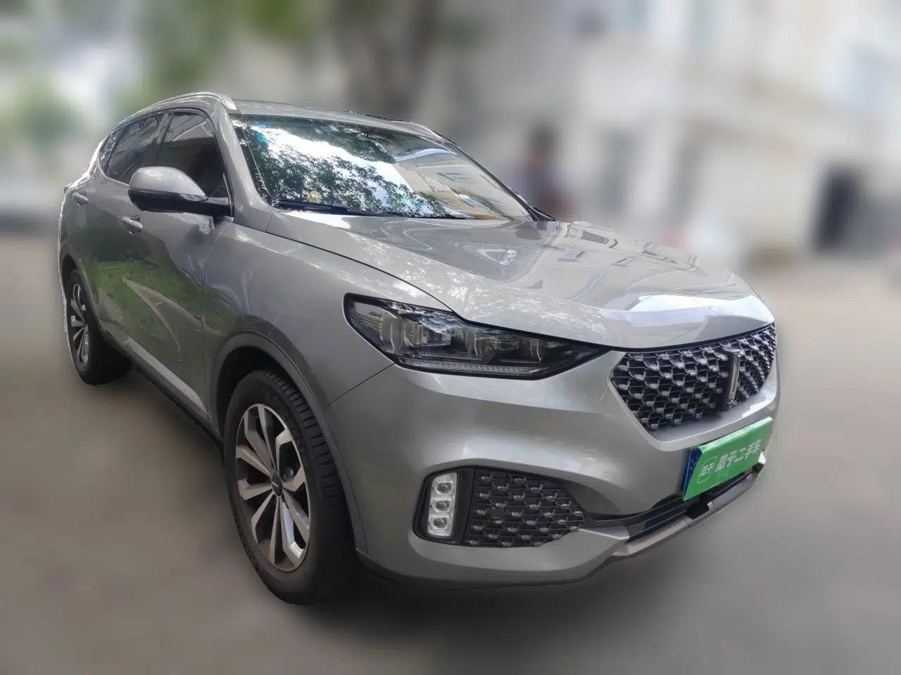 Wey VV6 2020 2.0T Two-Wheel Drive Smart Protection+ — миниатюра 3