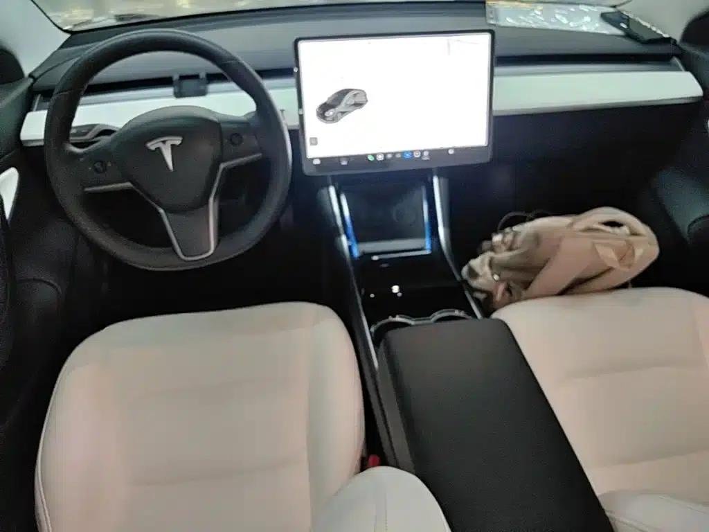 Model 3 (Imported) 2019 Long Range All-Wheel Drive — миниатюра 10