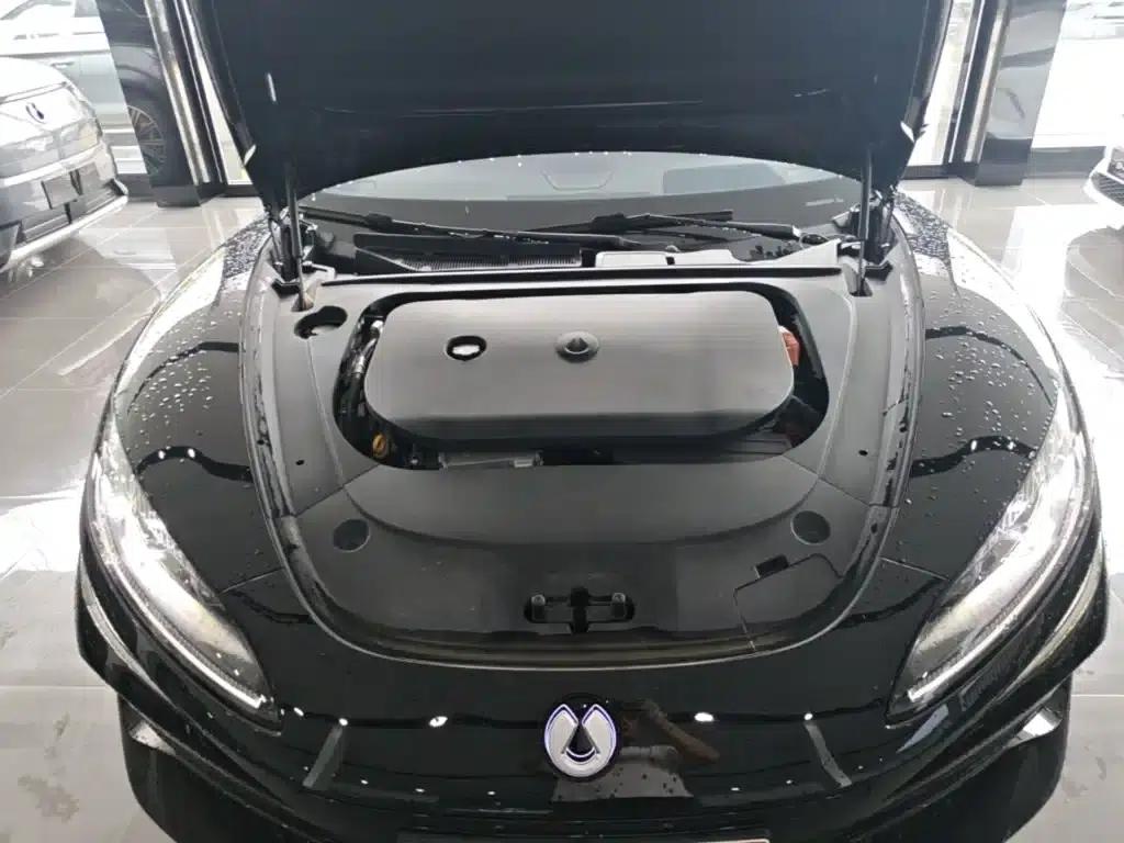 Denza Z9 2024 Model 1100km AWD Max Edition — миниатюра 20
