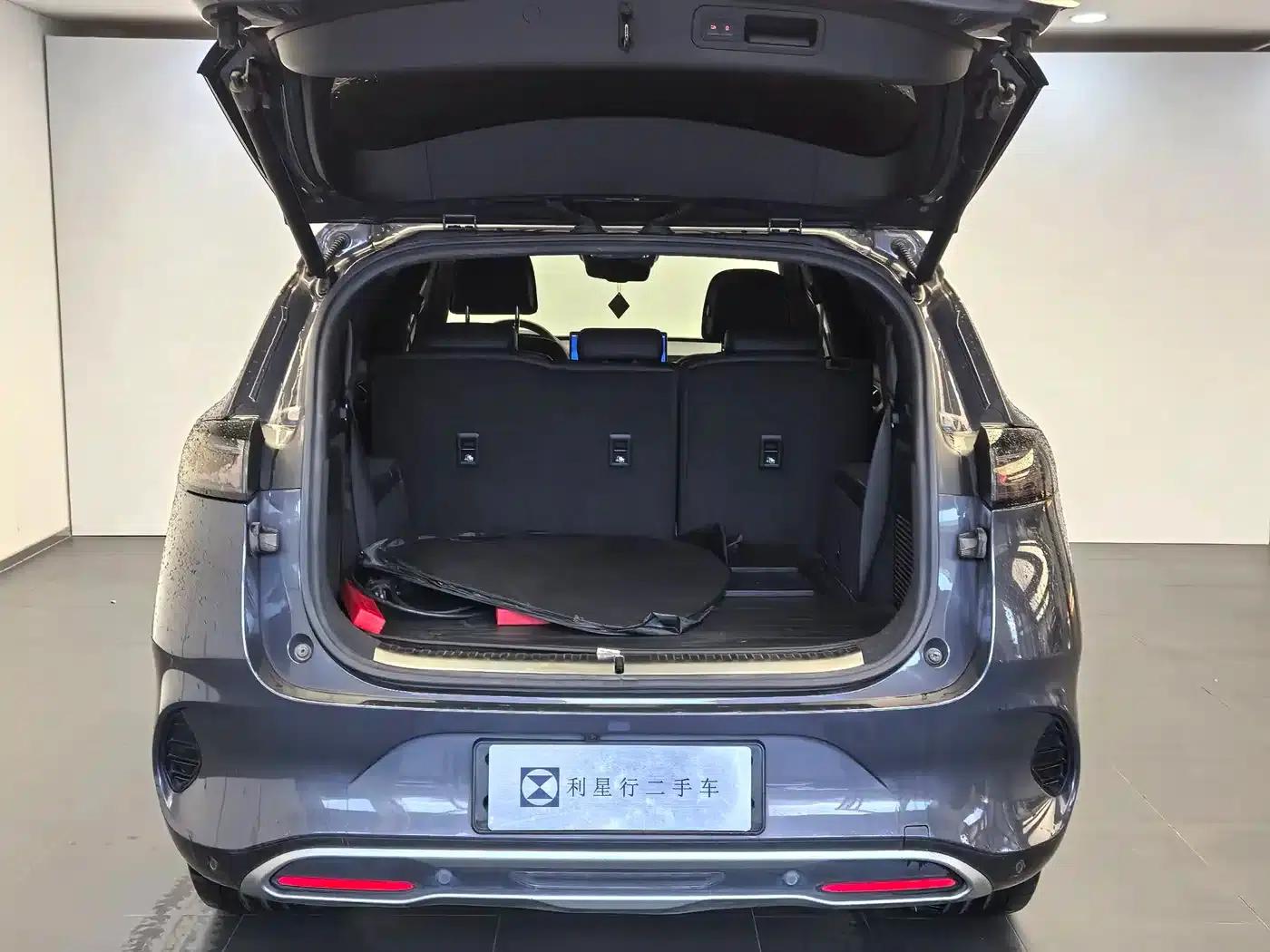 Denza X 2020 PHEV Flagship Edition — миниатюра 7