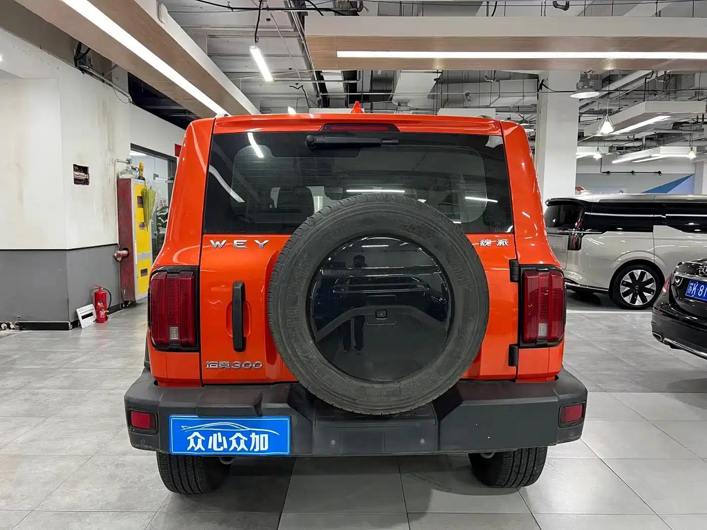 Tank 300 2021 Off-Road Edition 2.0T Challenger — миниатюра 6