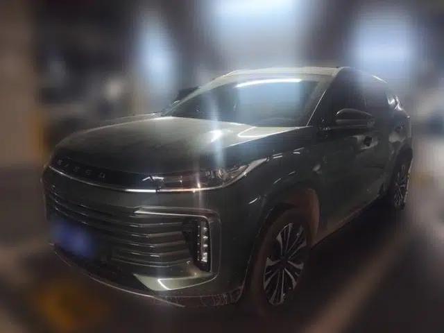 EXEED Lingyun 2024 300T Two-Wheel Drive Starlight Edition