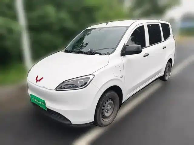 Wuling Hongguang New Energy 2024 Pure Electric Version 300KM Standard Edition