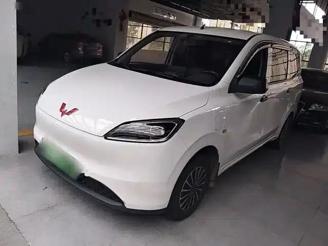 Wuling Hongguang New Energy 2024 Pure Electric Version 300KM Standard Edition