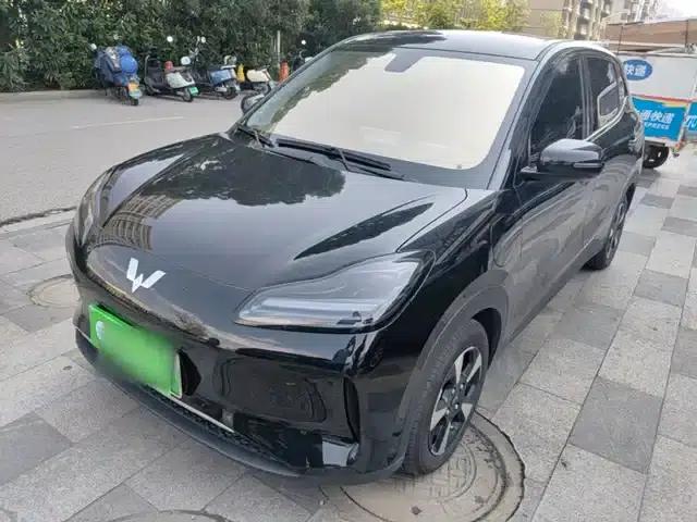 Wuling Bingo PLUS 2024 510km Flagship Edition Four-Seater