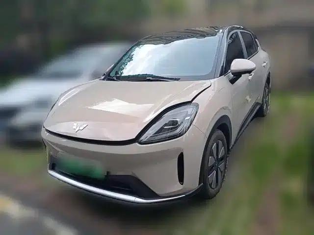 Bingo S 2025 Model 325km Premium Edition