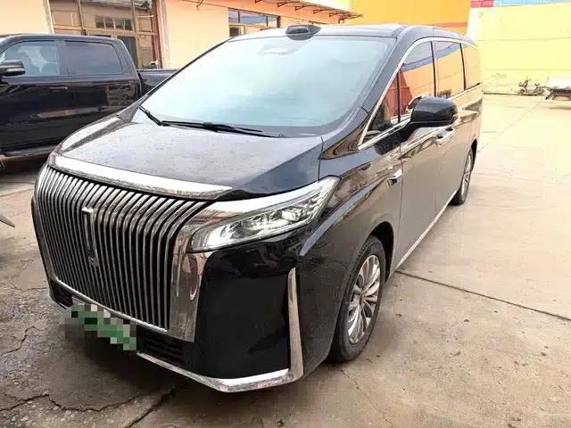 Weipai Gaoshan 2025 Model 4WD Gaoshan 8