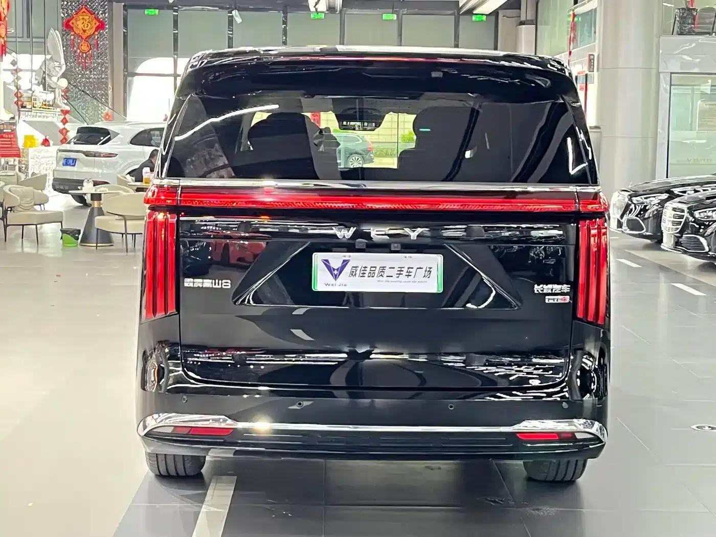 Weipai Gaoshan 2025 Model 4WD Gaoshan 8 — миниатюра 9