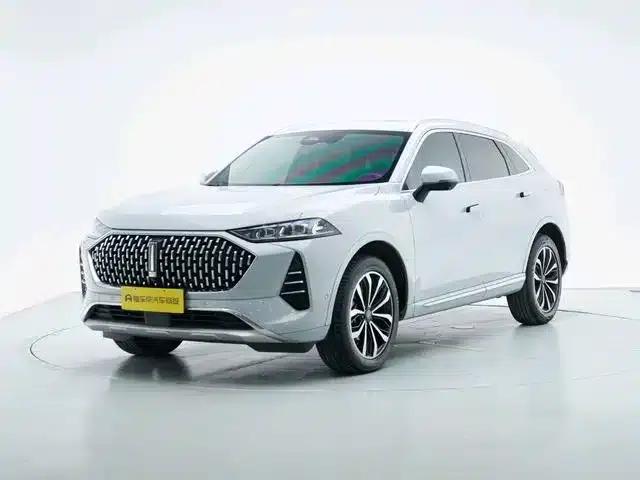 Wey brand Mocha 2021 2.0T 2WD Special Edition